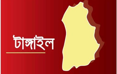 সখীপুরে বিএনপির ভাইস চেয়ারম্যানের গাড়িতে হামলা