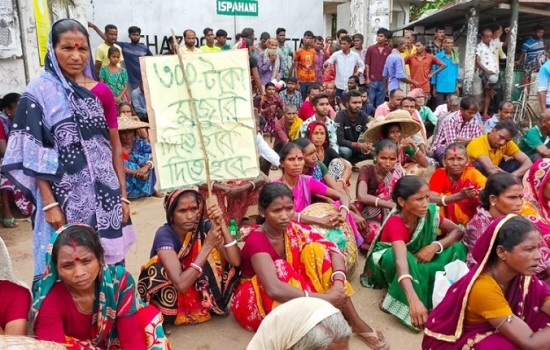 চা শ্রমিকদের সঙ্গে তামাশা বন্ধ করুন: ন্যাপ