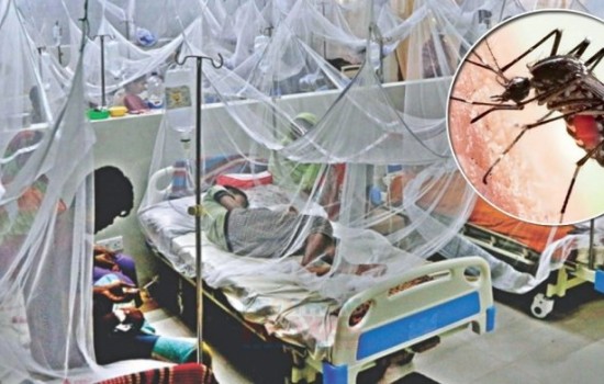 ডেঙ্গুতে আক্রান্ত হাসপাতালে ভর্তি আরও ৯২ জন