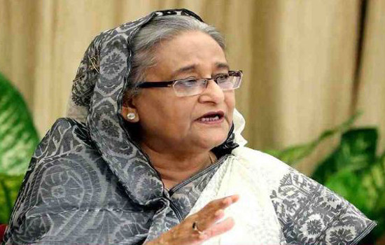 রোহিঙ্গাদের অবশ্যই মিয়ানমারে ফিরতে হবে : মানবাধিকার প্রধানকে প্রধানমন্ত্রী