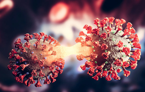 ২৪ ঘণ্টায় মৃত্যু ১, শনাক্ত ৮.৩৪ শতাংশ