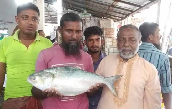 এক ‘রাজা ইলিশ’ ৯৫০০ টাকায় বিক্রি