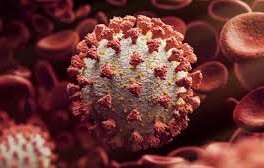 করোনায় ১ জনের মৃত্যু, শনাক্ত ২১৪