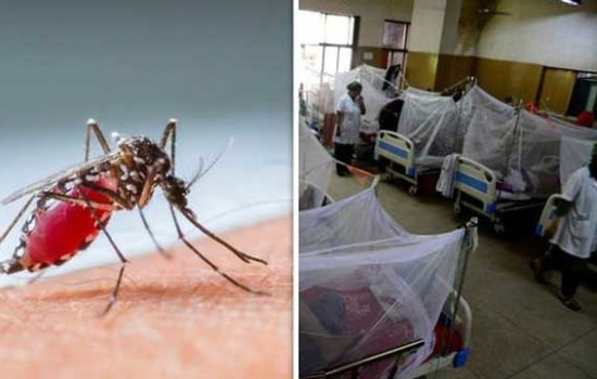 একদিনে ডেঙ্গুতে আরো ২ মৃত্যু, আক্রান্ত ৩৮১