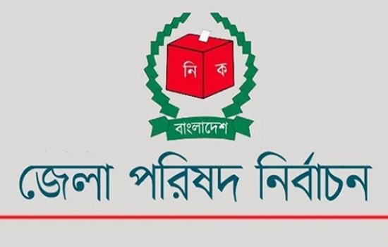 জেলা পরিষদ নির্বাচনে ২২ জন চেয়ারম্যান বিনা প্রতিদ্বন্দ্বিতায় নির্বাচিত