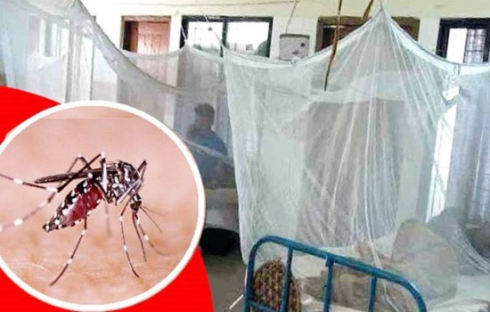 একদিনে রেকর্ড ৬৩৫ ডেঙ্গুরোগী হাসপাতালে, মৃত্যু ১