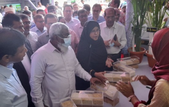 মিনিকেট নামে কোনো চাল বিক্রি করা যাবে না: মন্ত্রিপরিষদ সচিব