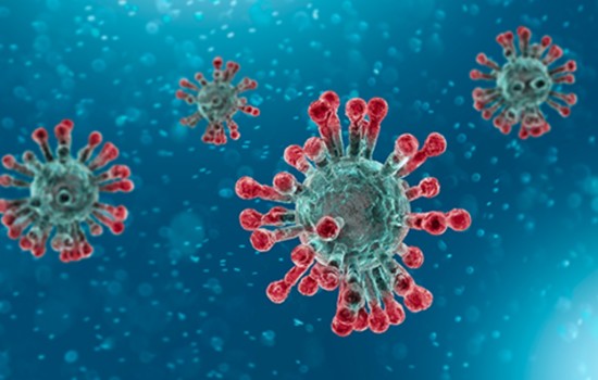 করোনায় পাঁচ জনের মৃত্যু, শনাক্ত ৪৯১