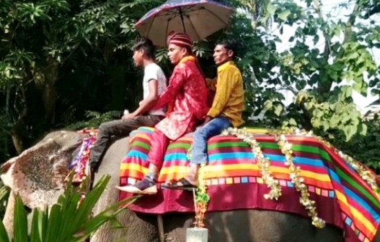 নানির ইচ্ছা পূরণে হাতি নিয়ে বউ আনতে গেলেন সালমান শাহ