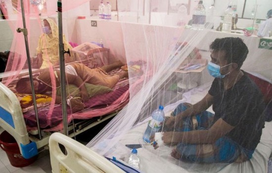 ২৪ ঘণ্টায় ডেঙ্গুতে ৩ জনের মৃত্যু