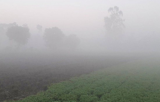 পঞ্চগড়ে দিন-রাতের তাপমাত্রা কমেছে, বেড়েছে ঠান্ডাজনিত রোগ