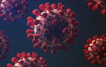 করোনায় ১ জনের মৃত্যু, শনাক্ত ২৩