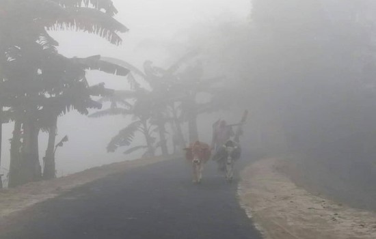 তেঁতুলিয়ায় সর্বনিম্ন তাপমাত্রা, হাসপাতালে ঠান্ডাজনিত রোগীর ভিড়