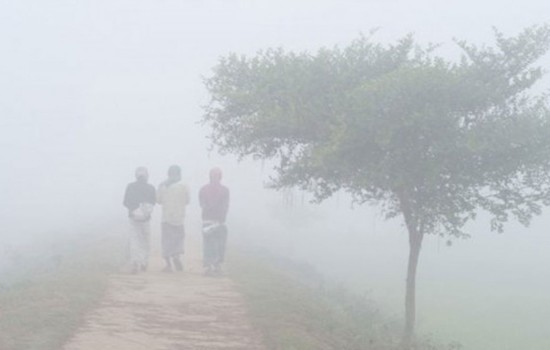 এ মাসেই ২-৩টি শৈত্যপ্রবাহ, তাপমাত্রা নামতে পারে ৬ ডিগ্রিতে