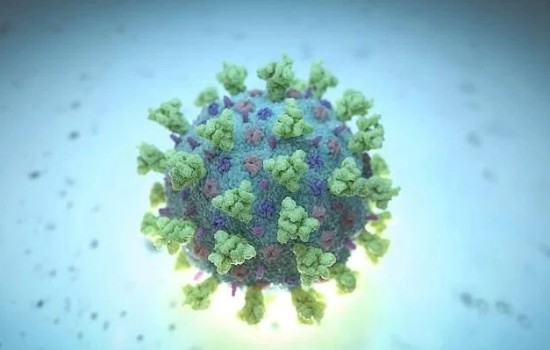 ২৪ ঘণ্টায় করোনায় মৃত্যু ১