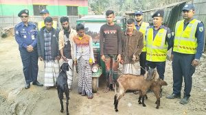 শেরপুরে চোরাই ছাগলসহ ৫জন আটক জেলা: বগুড়া