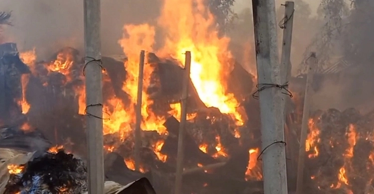 তেজগাঁওয়ে টিসিবির গোডাউনে আগুন