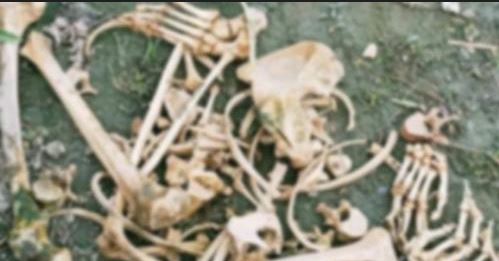 ঘোগাবটতলায় ৪ ব্যাগভর্তি মানুষের কঙ্কালসহ আটক ২