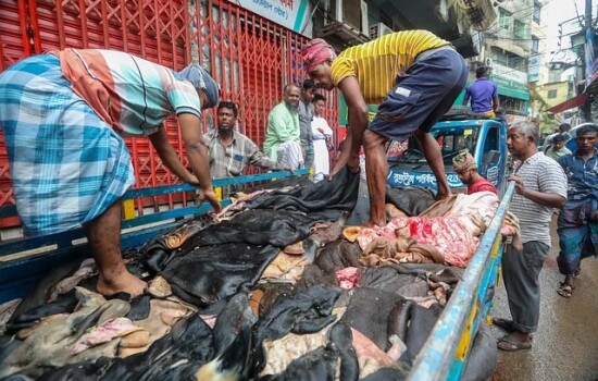 মিলছে না ন্যায্য দাম, কম দামে চামড়া বেচাকেনা