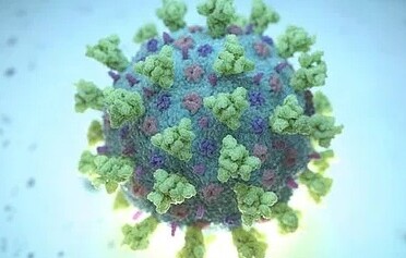 করোনায় একজনের মৃত্যু, শনাক্ত ৮২