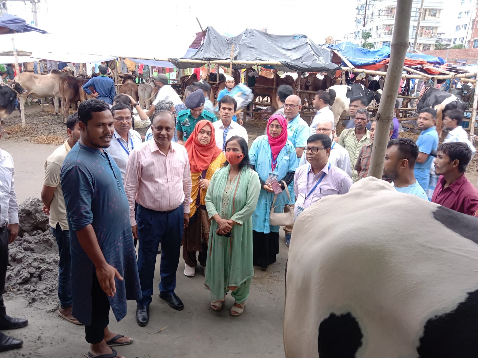 রাজধানীতে কোরবানির পশুর হাট পরিদর্শনে প্রাণিসম্পদ সচিব