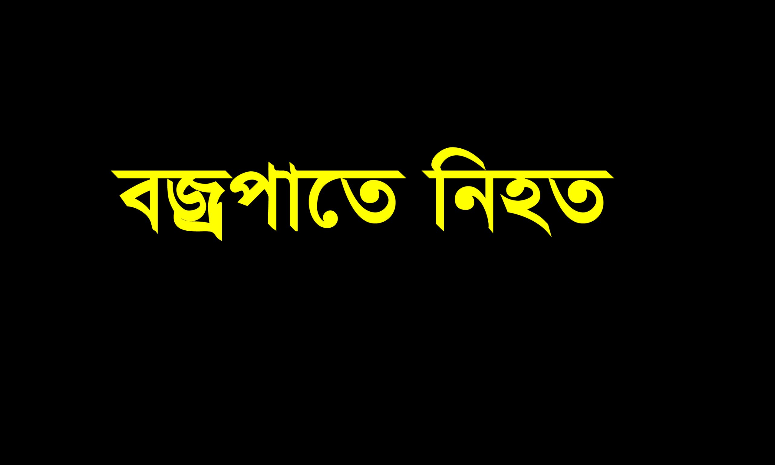 শেরপুরে বজ্রপাতে নিহত-১