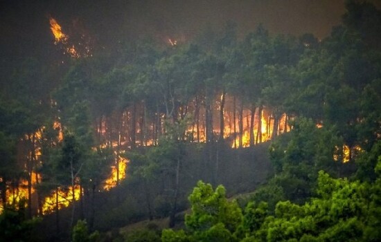গ্রিসে ভয়াবহ দাবানল : বাড়িঘর ছেড়ে পালাচ্ছে মানুষ