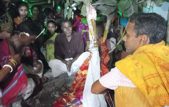 দেশের মঙ্গলের জন্য বট-পাকুড় গাছের বিয়ে!