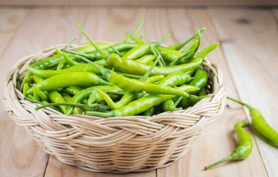 কাঁচামরিচ দীর্ঘদিন তাজা রাখবেন যেভাবে