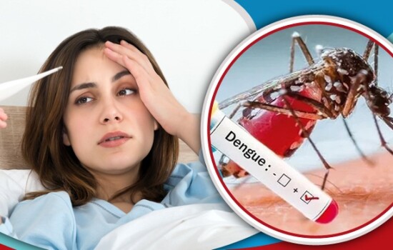 সাধারণ জ্বর নাকি ডেঙ্গু যেসব লক্ষণে বুঝা যাবে