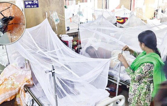 ডেঙ্গু আক্রান্ত আরও ৪৪৯ জন হাসপাতালে, মৃত্যু নেই
