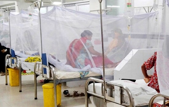 ডেঙ্গুতে রেকর্ড ৮ জনের মৃত্যু, হাসপাতালে ভর্তি ১৫৮৯