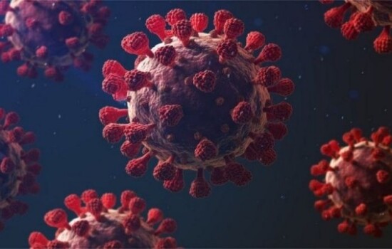 করোনায় ২ জনের মৃত্যু, শনাক্ত ৭১