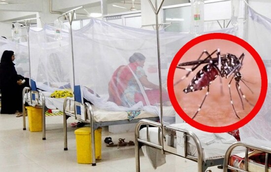 ডেঙ্গুতে প্রাণ গেল আরও ১০ জনের, হাসপাতালে ১৭৫৭
