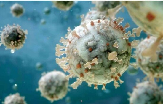 করোনাভাইরাসের উচ্চ সংক্রমণশীল নতুন ধরন শনাক্ত