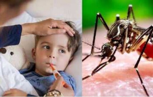 ২৪ ঘণ্টায় ডেঙ্গুতে আক্রান্ত হয়ে আরও ১২ জনের মৃত্যু