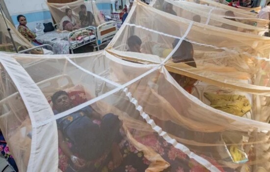 ডেঙ্গুতে আরও ১২ জনের মৃত্যু