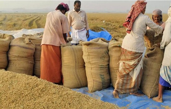 ভারতের চাল রপ্তানি নিষেধাজ্ঞায় খাদ্য সংকটে পড়তে পারে বিশ্ব