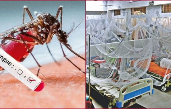 ডেঙ্গুতে আজ আরও ৯ জনের মৃত্যু, হাসপাতালে ভর্তি ২১৯৭