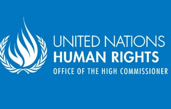 অতিরিক্ত বল প্রয়োগে বিরত থাকতে পুলিশকে মানবাধিকারবিষয়ক হাইকমিশনের আহ্বান