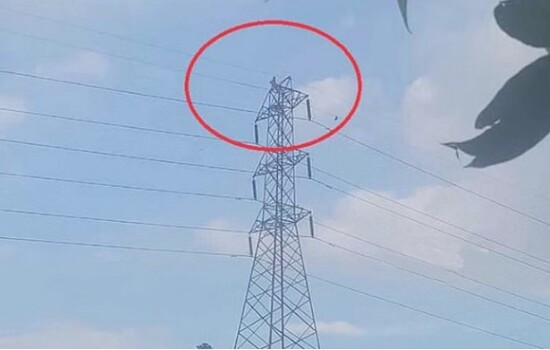 হাতিরঝিলে বৈদ্যুতিক টাওয়ারের চূড়ায় নারী, বিপাকে ফায়ার সার্ভিস