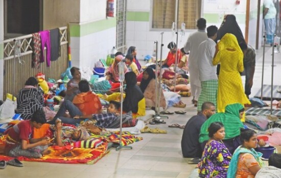 ডেঙ্গু আক্রান্ত হয়ে গত ২৪ ঘণ্টায় আরও ৯ জনের মৃত্যু, নতুন ভর্তি ২০৪৬