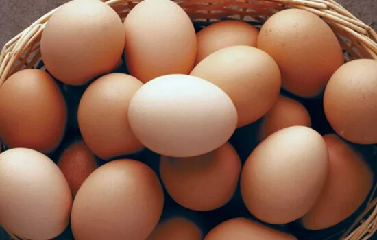 ‘আমদানি করলে ১২ টাকার ডিম ২০ টাকায় খেতে হবে’