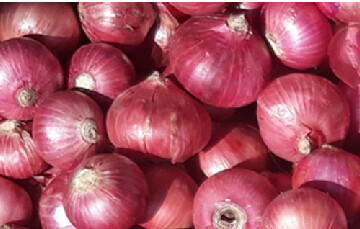 পেঁয়াজের সেঞ্চুরি, দাম কমছে না কোনো পণ্যেরই