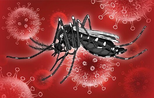 ডেঙ্গু আক্রান্তে মৃত্যুর সংখ্যা হাজার ছুঁই ছুঁই