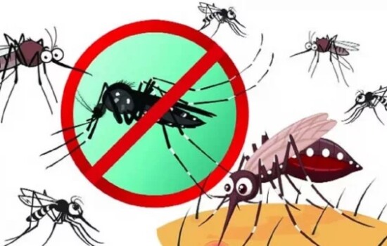 ডেঙ্গুতে মৃত্যু ৯০০ ছাড়াল, হাসপাতালে ৩০০৮