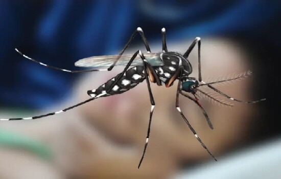 ডেঙ্গুতে আজও ১৫ জনের মৃত্যু, নতুন ভর্তি ৮৭৬