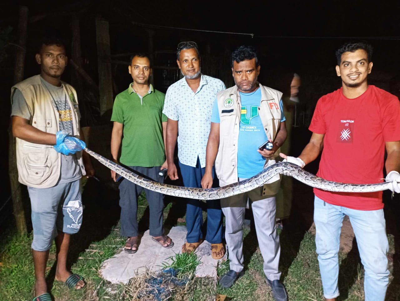 জুড়ীতে ৭ ফুট লম্বা অজগর সাপ উদ্ধার- বনে অবমুক্ত