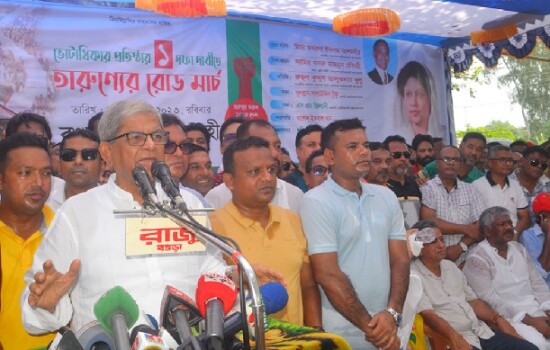 সরকার চুরি করে দেশকে ফোকলা বানিয়েছে : মির্জা ফখরুল