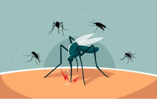 ডেঙ্গুতে আজও ১১ জনের মৃত্যু, নতুন ভর্তি ২৯৪৪